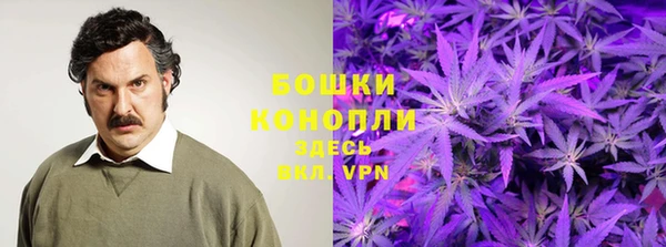 мескалин Надым